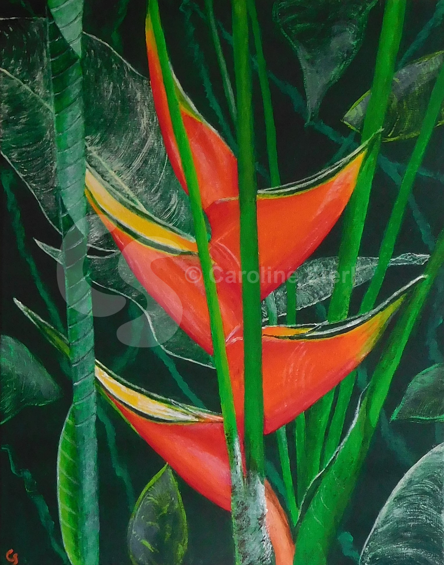 Painting: Lobster Claw